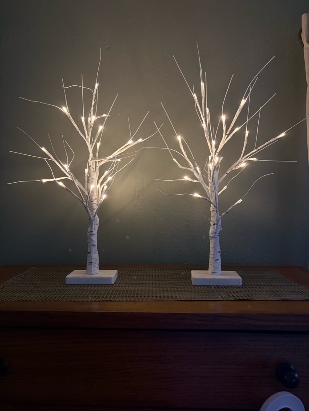 Lighted Birch Tree Set LED Tabletop Decor White Branch Lights